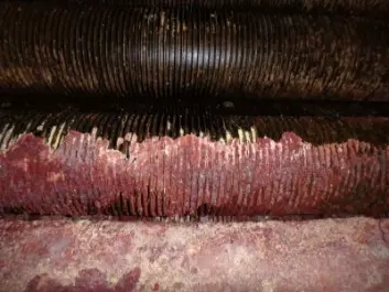 Importance of Tube Tech Cleaning